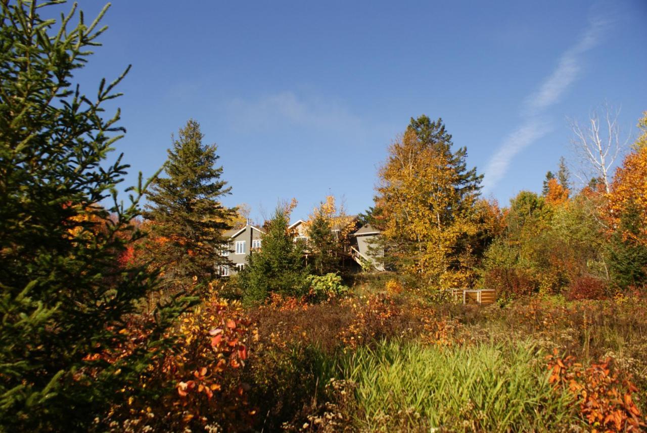 Top Of Algonquin Bed And Breakfast Mattawa Exteriör bild